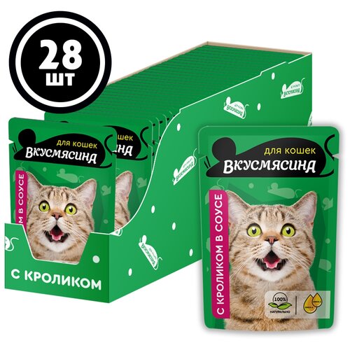 Влажный корм для стерилизованных кошек Вкусмясина индейка 28 шт. х 85 г (кусочки в соусе) фото