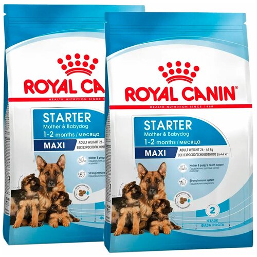 ROYAL CANIN MAXI STARTER для щенков крупных пород до 2 месяцев, беременных и кормящих сук (15 + 15 кг) фото