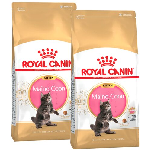 Сухой корм ROYAL CANIN MAINE COON KITTEN 36 для котят мэйн кун (0,4 + 0,4 кг) фото