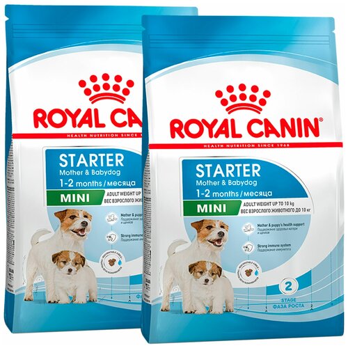 ROYAL CANIN MINI STARTER для щенков маленьких пород до 2 месяцев, беременных и кормящих сук (3 + 3 кг) фото