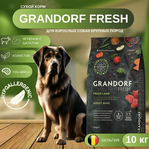 Сухой корм GRANDORF Fresh Dog Adult MAXI Lamb&Sweet Potato для собак крупных пород из свежего мяса ягненка с бататом, 10 кг фото