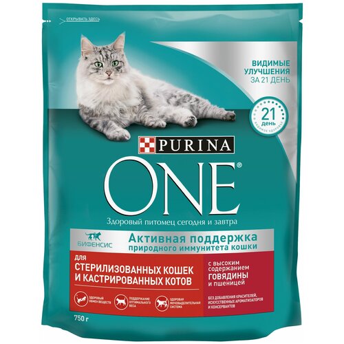 Сухой корм Purina ONE для стерилизованных кошек и кастрированных котов, с высоким содержанием говядины и пшеницей, Пакет, 750 г х 1 шт фото