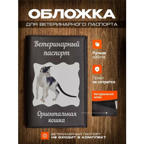 Обложка на ветеринарный паспорт для кошек с принтом Ориентальная кошка фото