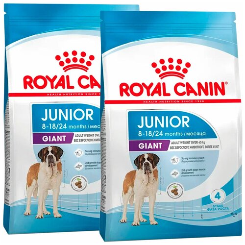 ROYAL CANIN GIANT JUNIOR для щенков крупных пород (15 + 15 кг) фото