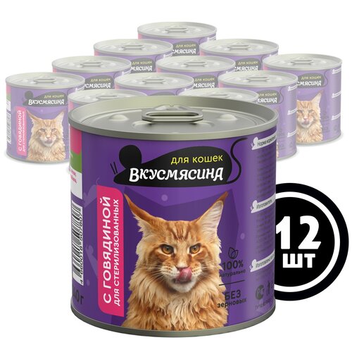 Влажный корм для кошек Вкусмясина Консервы для стерилизованных кошек с говядиной 12 шт. х 240 г (фарш) фото