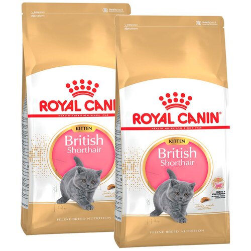 Сухой корм ROYAL CANIN BRITISH SHORTHAIR KITTEN 34 для британских короткошерстных котят (0,4 + 0,4 кг) фото