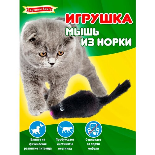 Игрушка для кошек и котят Лучший друг мышь из норки темная, 5см 07027-1 фото