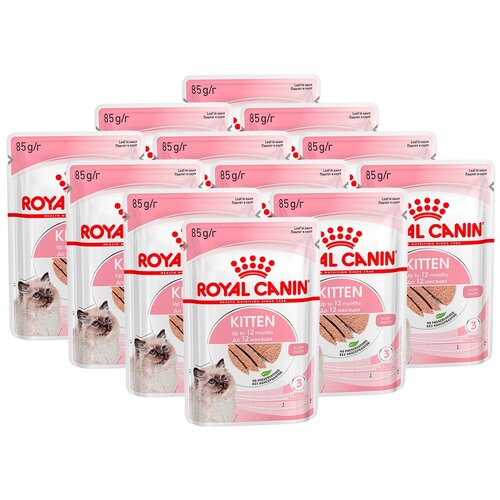 Royal Canin Консервы в виде паштета для котят с 4 до 12 месяцев и беременных кошек Kitten Loaf (85 г) фото