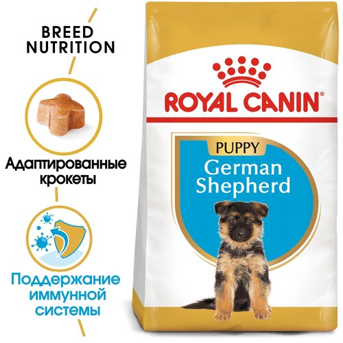 Сухой корм для щенков Royal Canin Немецкая овчарка до 15 месяцев, для поддержания иммунитета 1 уп. х 2 шт. х 12000 г (для крупных пород) фото