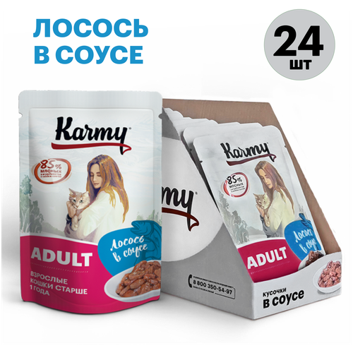 корм для кошек Karmy Adult, лосось 24 шт. х 80 г (кусочки в соусе) фото