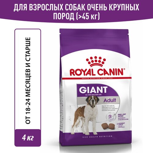 Корм для собак Royal Canin Giant Adult ( Джайнт Адалт) сухой для взрослых собак очень крупных размеров старше 18 месяцев, 4 кг фото