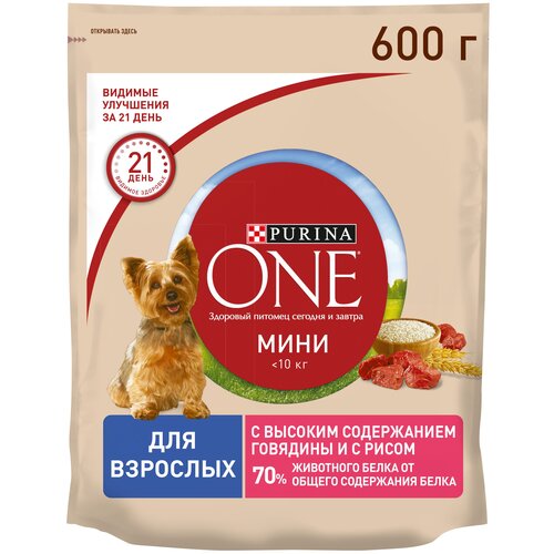 Сухой корм Purina ONE® для взрослых с говядиной и с рисом 600г фото