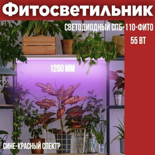 Светильник светодиодный СПБ-110-ФИТО сине-красный спектр 55Вт 1200мм IN HOME фото