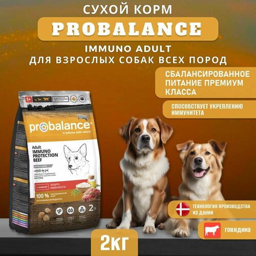 Сухой корм ProBalance Immuno Adult для взрослых собак всех пород с говядиной, 2 кг фото