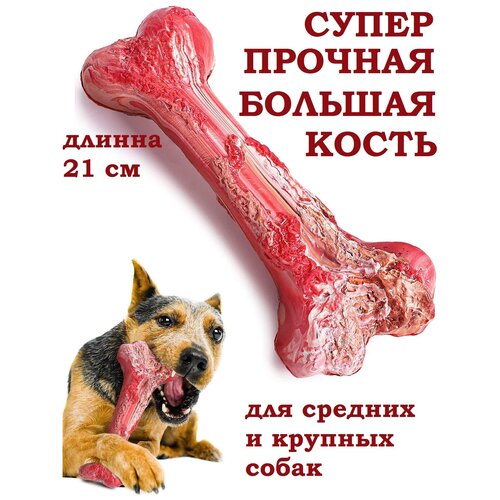 Игрушки для собак, кость, грызунок, кусалка для собак, зубочистки, антистресс фото