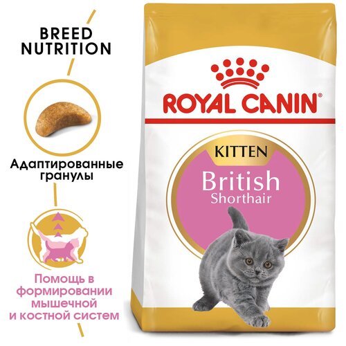 Сухой корм для котят Royal Canin Kitten British Shorthair для британских короткошерстных котят от 4 до 12 месяцев 2 уп. х 400 г фото