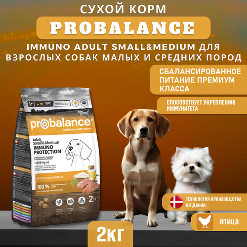 Сухой корм ProBalance Immuno Adult Small&Medium для взрослых собак малых и средних пород, 2 кг фото