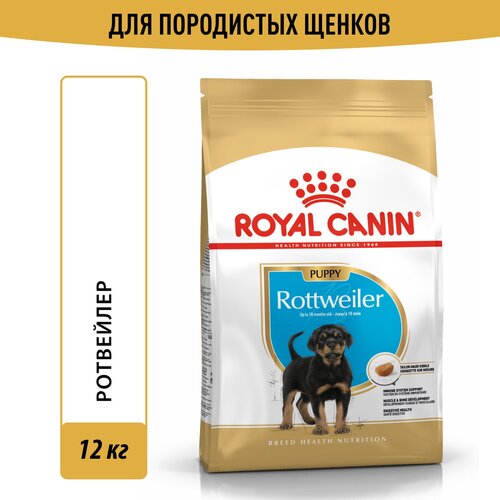 Корм для собак Royal Canin Rottweiler Puppy (Ротвейлер Паппи) Корм сухой для щенков породы Ротвейлер до 18 месяцев, 12 кг фото