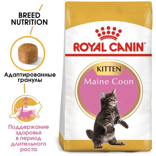 Сухой корм для котят Royal Canin Maine Coon Kitten для котят породы Мэйн Кун  от 4 до 15 месяцев 2 шт. х 400 г фото