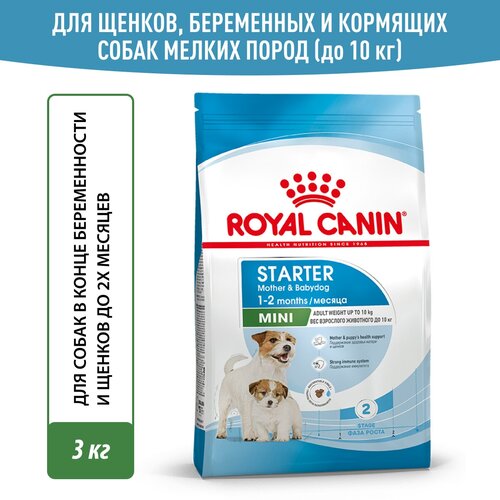 Сухой корм Royal Canin Mini Starter Mother & Babydog (Мини Стартер Мазе Энд Бэбидог) для беременных и кормящих собак и щенков до 2-х месяцев (для мелких пород), 3 кг фото