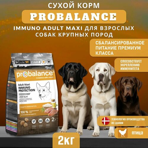 Сухой корм ProBalance Immuno Adult Maxi для взрослых собак крупных пород, 2 кг фото