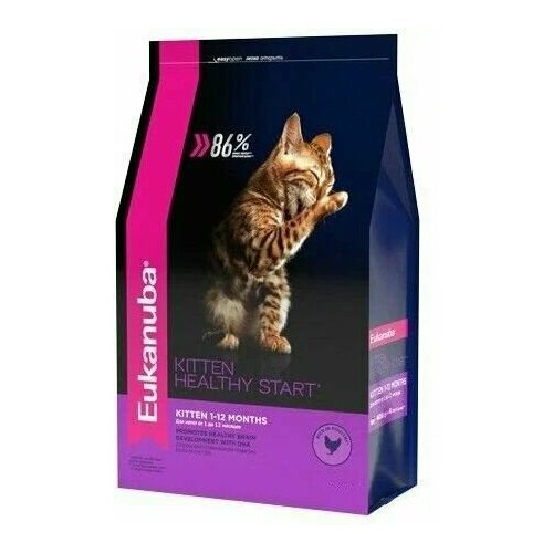 EUKANUBA KITTEN HEALTHY START 2кг сухой корм для котят с домашней птицей 5шт фото