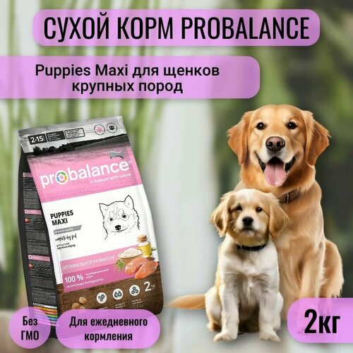 Сухой корм ProBalance Puppies Maxi для щенков крупных пород, 2кг фото