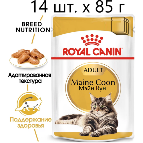 Влажный корм для кошек Royal Canin Maine Coon Adult, для взрослых кошек породы мейн-кун, 14 шт. х 85 г (кусочки в соусе) фото