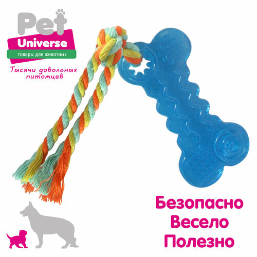 Мини косточка с канатиком Pet Universe. Для щенков и мелких пород 18*4.3 см /PU3006BE фото