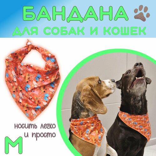 Бандана для собак и кошек, Funny dogs, M фото