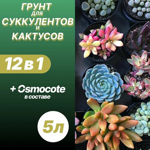 Грунт для кактусов и суккулентов 5л / Бионика фото