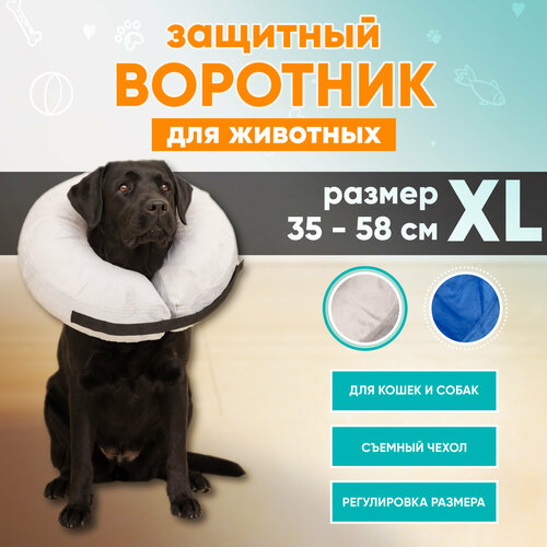 Защитный ветеринарный воротник для собак и кошек Mr Dog, XL фото