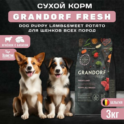 Сухой корм GRANDORF Fresh Dog PUPPY Lamb&Sweet Potato для щенков из свежего мяса ягненка с бататом, 3 кг фото