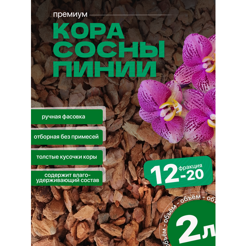 Отборная кора из сосны пинии для Орхидей 2л, фракция 12-20мм, аналог орхиата фото