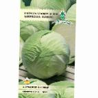 Photo Cabbage grade Biryuza plyus