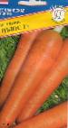 foto La carota la cultivar Nyus F1