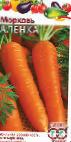 foto La carota la cultivar Alenka