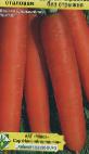 Фото Морковь сорт Длинная красная без сердцевины