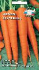 foto La carota la cultivar Khrustyashka