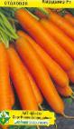 Photo une carotte l'espèce Kardameh F1