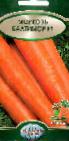 Photo une carotte l'espèce Baltimor F1