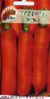 kuva Porkkana laji Sadko