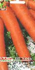 foto La carota la cultivar Berlikum Royal