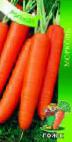 foto La carota la cultivar Rogneda