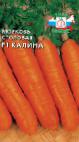 foto La carota la cultivar Kalina F1