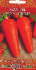 foto La carota la cultivar Krasa devica 