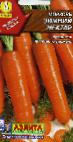 Photo Carrot grade Zimnijj nektar