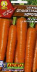 снимка Морков сорт Оранжевый король