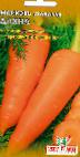 kuva Porkkana laji Dayana 