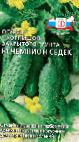 foto I cetrioli la cultivar Chempion SeDeK F1